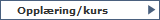 Oppl�ring/kurs